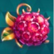 Symbol maliny w grze Fruit Spin