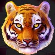 Dziki symbol w grze Tiger Hold & Win Jungle